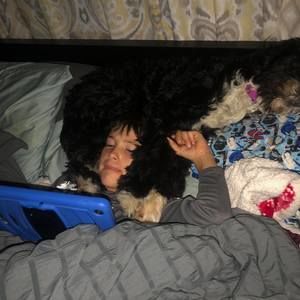 Meet your Posher, Louise